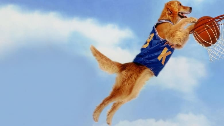 Air Bud - Buddy star des paniers